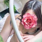 ヒメ日記 2025/03/19 18:01 投稿 美凪-Mina- 愛のかたまり