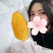 ヒメ日記 2025/04/02 12:00 投稿 美凪-Mina- 愛のかたまり