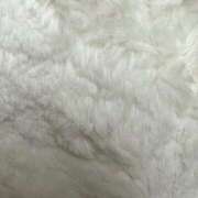 ヒメ日記 2025/08/21 14:40 投稿 ノノ バニーコレクション新潟店