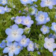 ヒメ日記 2025/06/09 08:06 投稿 つきひ Queen Angel(クイーンエンジェル)