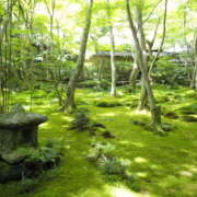 つきひ お詫びと全てのお客様へ。 Queen Angel(クイーンエンジェル)