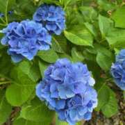 ヒメ日記 2025/06/24 11:52 投稿 なみ ファーストレディ(博多)