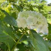 ヒメ日記 2025/06/30 12:45 投稿 なみ ファーストレディ(博多)