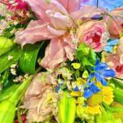 ヒメ日記 2025/07/25 11:42 投稿 なみ ファーストレディ(博多)