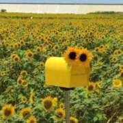 ヒメ日記 2025/08/31 18:22 投稿 なみ ファーストレディ(博多)