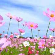 ヒメ日記 2025/09/30 10:02 投稿 なみ ファーストレディ(博多)