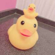 ヒメ日記 2024/12/23 17:04 投稿 ゆきな★美巨乳激ヌレ超感度◎★ Bell～S級美女お姉様・人妻デリヘル～