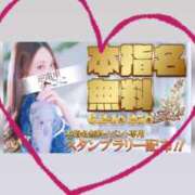 ヒメ日記 2025/06/24 11:50 投稿 みか 逆電車ごっこ ～GLAMOROUS TRAIN～