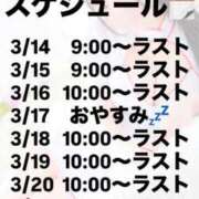 ヒメ日記 2026/03/13 23:00 投稿 みか 逆電車ごっこ ～GLAMOROUS TRAIN～