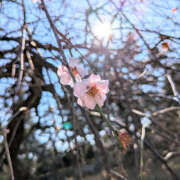 ヒメ日記 2025/03/21 19:07 投稿 なのか 土浦ハッピーマットパラダイス