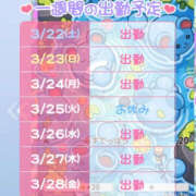 ヒメ日記 2025/03/22 17:27 投稿 なのか 土浦ハッピーマットパラダイス