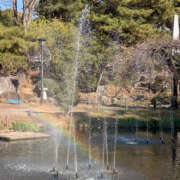 ヒメ日記 2025/03/22 18:17 投稿 なのか 土浦ハッピーマットパラダイス