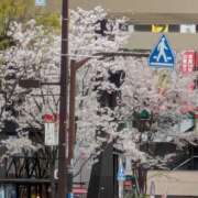 ヒメ日記 2025/04/01 01:07 投稿 なのか 土浦ハッピーマットパラダイス