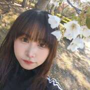 ヒメ日記 2025/04/04 16:57 投稿 なのか 土浦ハッピーマットパラダイス