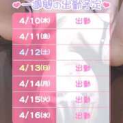 ヒメ日記 2025/04/10 15:57 投稿 なのか 土浦ハッピーマットパラダイス