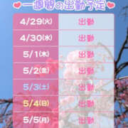 ヒメ日記 2025/04/29 15:37 投稿 なのか 土浦ハッピーマットパラダイス