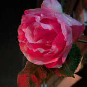 ヒメ日記 2025/05/07 01:57 投稿 なのか 土浦ハッピーマットパラダイス