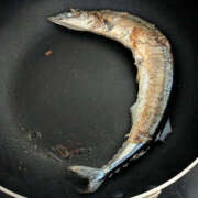 ヒメ日記 2025/10/03 15:07 投稿 なのか 土浦ハッピーマットパラダイス