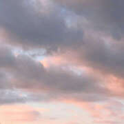 ヒメ日記 2025/11/15 10:07 投稿 なのか 土浦ハッピーマットパラダイス