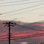 ヒメ日記 2025/11/25 07:37 投稿 なのか 土浦ハッピーマットパラダイス