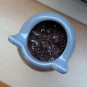 ヒメ日記 2025/12/02 07:37 投稿 なのか 土浦ハッピーマットパラダイス