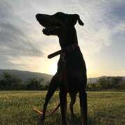 ヒメ日記 2025/11/03 08:46 投稿 りか エディーズ