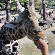 りか 【お礼写メ日記】 エディーズ