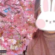 ヒメ日記 2026/03/14 10:02 投稿 りか エディーズ