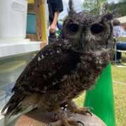 ヒメ日記 2026/04/29 09:56 投稿 りか エディーズ