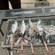ヒメ日記 2026/05/16 09:56 投稿 りか エディーズ
