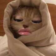 ヒメ日記 2025/02/08 17:13 投稿 代々木みう THE痴漢電車.com