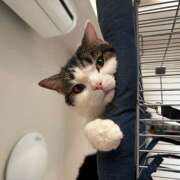 ヒメ日記 2025/05/31 23:32 投稿 真奈美（まなみ） やみつきの館　鶯谷店