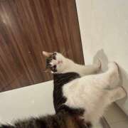 ヒメ日記 2025/06/14 22:14 投稿 真奈美（まなみ） やみつきの館　鶯谷店