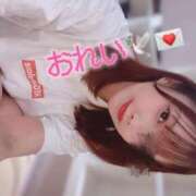 ヒメ日記 2025/01/29 15:18 投稿 ♡シホ MEGA PALACE(メガパレス）