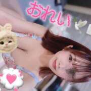 ヒメ日記 2025/02/22 14:10 投稿 ♡シホ MEGA PALACE(メガパレス）