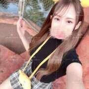 ヒメ日記 2025/09/24 10:44 投稿 ♡シホ MEGA PALACE(メガパレス）