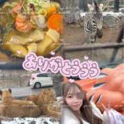 ヒメ日記 2026/01/22 00:43 投稿 ♡シホ MEGA PALACE(メガパレス）