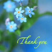 ヒメ日記 2025/03/13 15:24 投稿 あやみ 越谷熟女デリヘル マダムエプロン