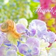 ヒメ日記 2025/06/05 08:54 投稿 あやみ 越谷熟女デリヘル マダムエプロン