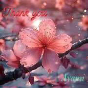 ヒメ日記 2026/03/27 21:42 投稿 あやみ 越谷熟女デリヘル マダムエプロン