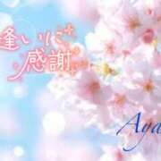 ヒメ日記 2026/03/28 23:16 投稿 あやみ 越谷熟女デリヘル マダムエプロン