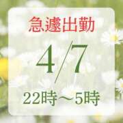 ヒメ日記 2025/04/07 15:07 投稿 アルマ 性の極み 技の伝道師 ver. 匠
