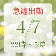 ヒメ日記 2025/04/07 17:14 投稿 アルマ 性の極み 技の伝道師 ver. 匠