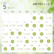 ヒメ日記 2025/05/20 11:55 投稿 アルマ 性の極み 技の伝道師 ver. 匠