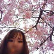 ヒメ日記 2026/02/22 13:55 投稿 アルマ 性の極み 技の伝道師 ver. 匠