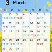 ヒメ日記 2026/02/23 21:12 投稿 アルマ 性の極み 技の伝道師 ver. 匠