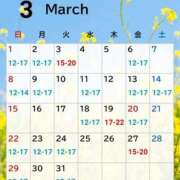 ヒメ日記 2026/03/01 20:31 投稿 アルマ 性の極み 技の伝道師 ver. 匠