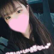 ヒメ日記 2024/12/31 18:17 投稿 なぎ【凄テクドリルアナル舐め】 セクシャル