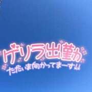 ヒメ日記 2024/04/06 08:16 投稿 みさと 鹿児島ちゃんこ 薩摩川内店