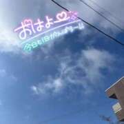 ヒメ日記 2024/04/07 07:26 投稿 みさと 鹿児島ちゃんこ 薩摩川内店